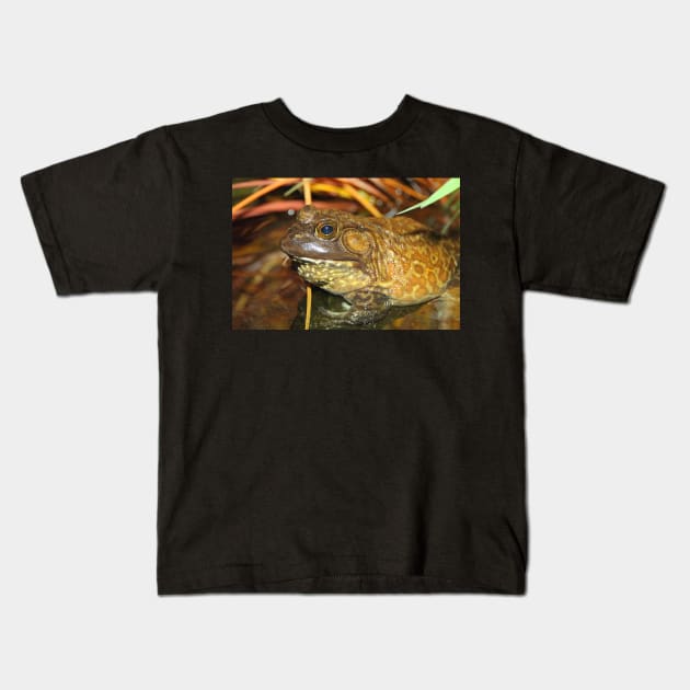 American Bullfrog Closeup and Personal Kids T-Shirt by Carole-Anne